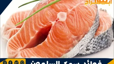 فوائد سمك السلمون