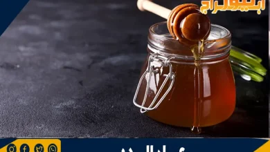 عسل السدر