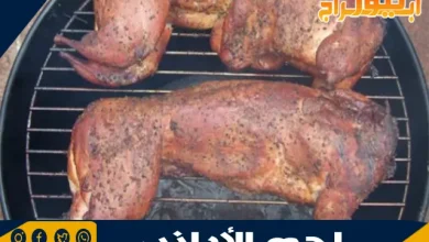 فوائد أكل لحم الأرانب