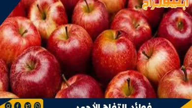 فوائد التفاح الأحمر: غذاء صحي لجسمك وعقلك 6 فوائد التفاح الأحمر