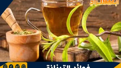 فوائد التيزانة