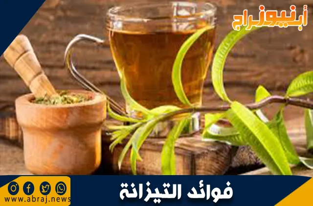 فوائد التيزانة
