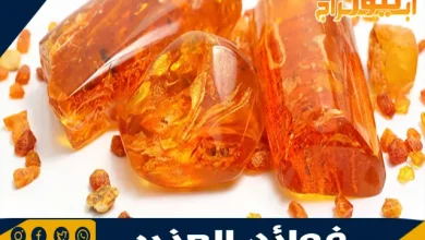 فوائد العنبر
