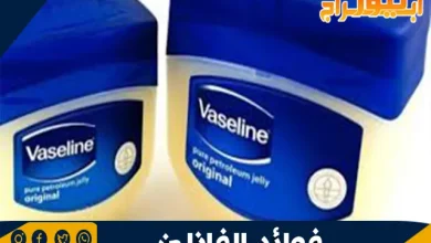 فوائد الفازلين للرموش والحواجب: السر وراء الكثافة والجاذبية 2 فوائد الفازلين للرموش