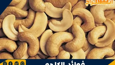 فوائد الكاجو