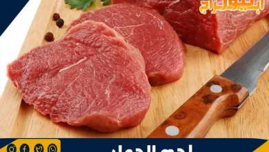 فوائد لحم الجمل