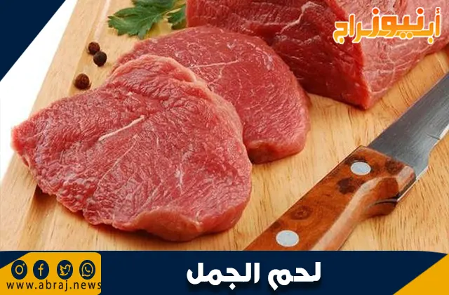 فوائد لحم الجمل