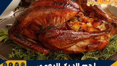 فوائد لحم الديك الرومي