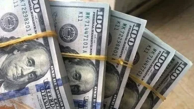 سعر الدولار اليوم الاثنين 24 مارس 2025 أمام الجنيه المصري بالبنوك الرئيسية 8 سعر الدولار اليوم