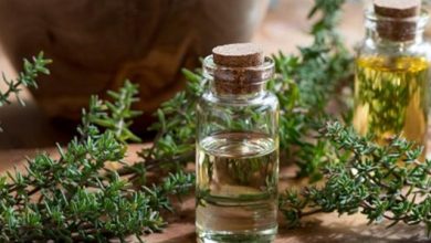 فوائد الزعتر البري المجفف: كنز طبيعي لصحة الجسم والعقل 4 فوائد الزعتر البري المجفف