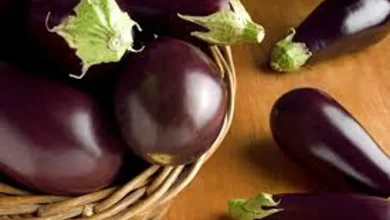 فوائد ومضار الباذنجان: كل ما تحتاج معرفته عن هذه الخضروات الصحية 2 فوائد الباذنجان الصحية