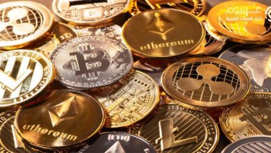 الاستثمار في العملات الرقمية: دليل شامل لفهم المخاطر والفرص 4 الاستثمار في العملات الرقمية
