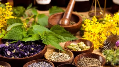 النباتات الطبية: كنز الطبيعة لعلاج الأمراض وتعزيز الصحة بطرق طبيعية وآمنة 2 النباتات الطبية