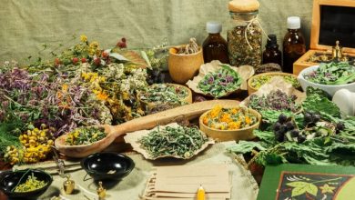 الأعشاب الطبية: كنوز طبيعية لعلاج الأمراض وتعزيز المناعة والصحة – دليل شامل لفوائد الأعشاب وطرق استخدامها 4 الأعشاب الطبية