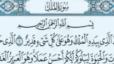 تفسير حلم سورة الملك في المنام: هل يدل على الحماية من الخوف والهموم؟ 9 images 13 3