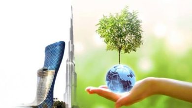 الاقتصاد الأخضر: هل هو فرصة استثمارية واعدة أم فقاعة جديدة؟ 4 images 8 1